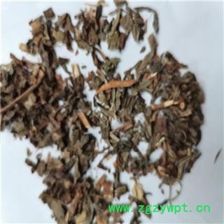 败酱草 败将草 统 产地 山东省东营市广饶县图2