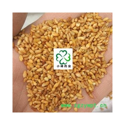 柏子仁 好选货 如图 颜色好 无虫蛀 小峰药业 重在品质 产地 山东省