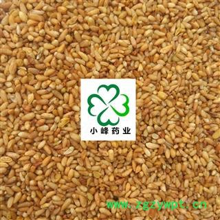 柏子仁 好选货 如图 颜色好 无虫蛀 小峰药业 重在品质 产地 山东省图2