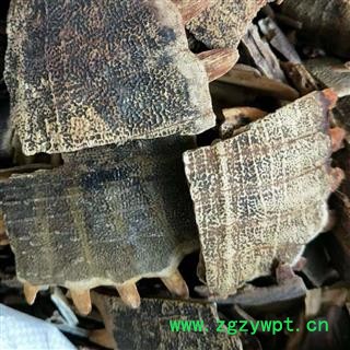 鳖甲 产地直销新货炒鳖甲没骨头，货好质量高，实物拍摄 产地 山东省济宁市任城区图2