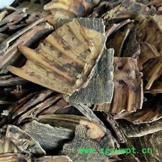 鳖甲 产地直销新货炒鳖甲没骨头，货好质量高，实物拍摄 产地 山东省济宁市任城区图3