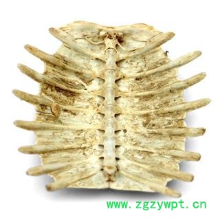 【满298元包邮】鳖甲 选货整个无碎块 没有杂质 去肉干净 好货 不掺骨头  500克1袋图2