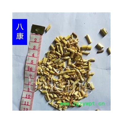 白茅根 02统 产地 河北省保定市