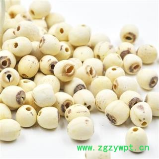 白莲子 湖南湖北空心磨皮白莲子98货 产地 湖南省图2
