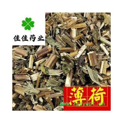 薄荷 净货 味道好 发货前筛沫子 产地 山东省 【供应各类中药材】薄荷 药材薄荷