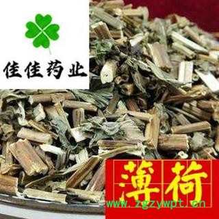 薄荷 净货 味道好 发货前筛沫子 产地 山东省 【供应各类中药材】薄荷 药材薄荷图3