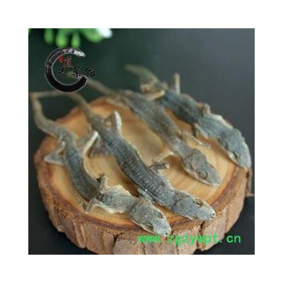 壁虎统个 产地广西 爬山虎 药典标准 地道良药馆500克直销