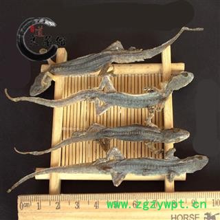 壁虎统个 产地广西 爬山虎 药典标准 地道良药馆500克直销图3