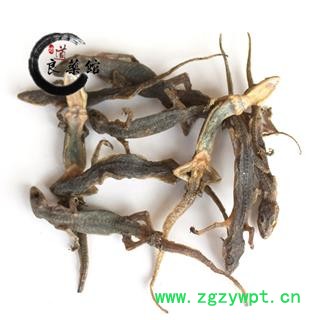 壁虎统个 产地广西 爬山虎 药典标准 地道良药馆500克直销图2