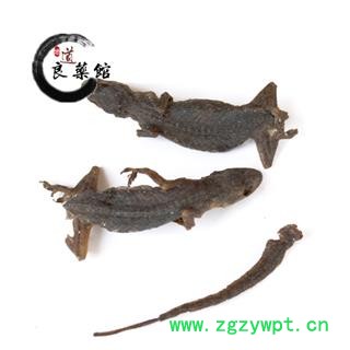 壁虎统个 产地广西 爬山虎 药典标准 地道良药馆500克直销图4