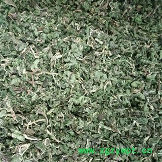 薄荷 薄荷茶  薄荷球  产地 安徽省图2