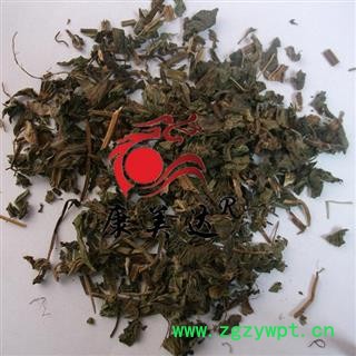 薄荷 统货 产地 安徽省图2