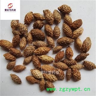 苍耳子 去刺苍耳子选货 产地内蒙古 地道药材 紫轩堂药业图4