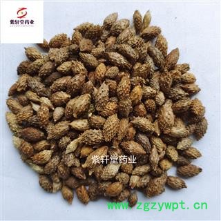 苍耳子 去刺苍耳子选货 产地内蒙古 地道药材 紫轩堂药业图3