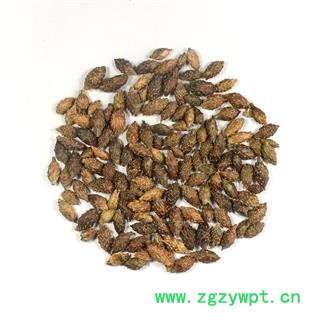 【满298元包邮】苍耳子 苍耳子后期黄褐色选货 产地 内蒙古自治区 一公斤一袋图2