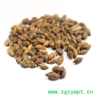 【满298元包邮】苍耳子 苍耳子后期黄褐色选货 产地 内蒙古自治区 一公斤一袋图3