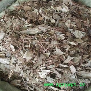 诺源药材行中药材优质正品平地木 不出林 四叶茶图2