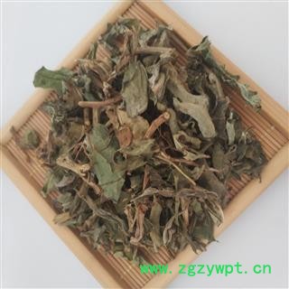 北败酱草【国舜堂】产地货源 规格齐全 量大从优 中药材批发供应【北败酱草】图4