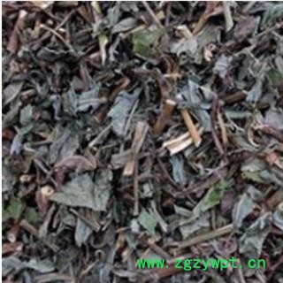 败酱草 纯绿色 新货 无杂质 产地 山东省菏泽市鄄城县舜王城药市图3