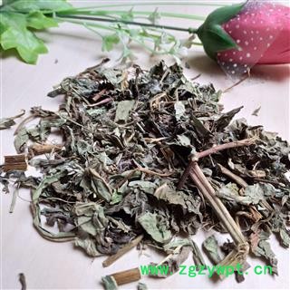 败酱草 北败酱草 产地 河北省图2