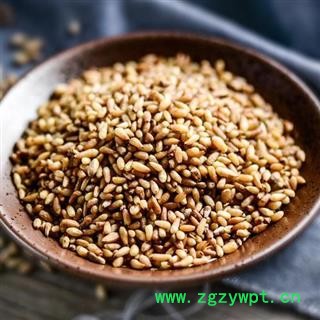 柏子仁 精品选货正品保证质量7天无理由退货退款 安品堂图4