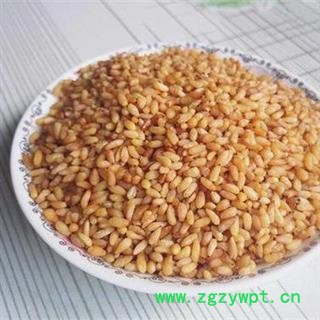 柏子仁 精品选货正品保证质量7天无理由退货退款 安品堂图3