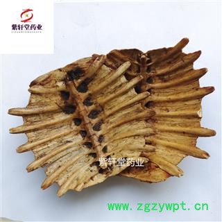 鳖甲 醋鳖甲 制鳖甲 产地山东省 地道药材 紫轩堂药业图4