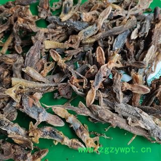 天龙 壁虎统货 实图拍照 正品保证质量7天无理由退货退款 中药材批发 丽丽药业图3