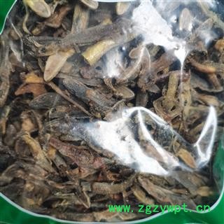 天龙 壁虎统货 实图拍照 正品保证质量7天无理由退货退款 中药材批发 丽丽药业图2