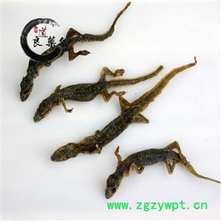 壁虎进口壁虎统个 爬山虎 产地海外 药典标准 地道良药馆500克直销图4