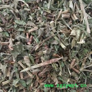 薄荷 薄荷选段大货 产地 山东省菏泽市鄄城县舜王城药市图2