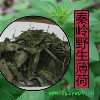 薄荷叶绿薄荷茶新鲜干薄荷叶干净无枝食用薄荷叶提神泡野生薄荷茶1000克图4