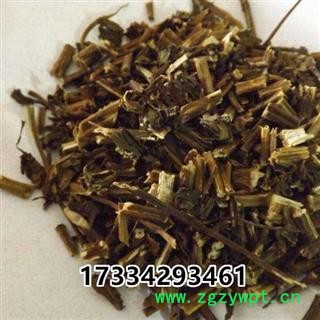 薄荷梗 薄荷叶 薄荷茶 薄荷草 卜荷 中草药材图2