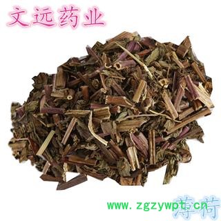 薄荷 灰色片 薄荷 产地 河南省图3