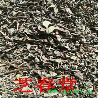 无硫新货薄荷 中药材批发薄荷梗 干净无杂过筛 正品货源充足另有薄荷叶图3