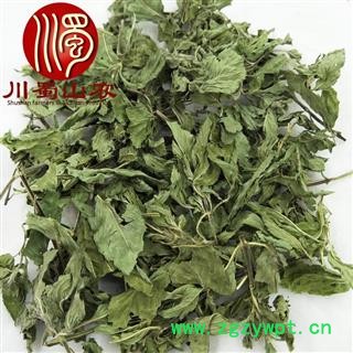 薄荷叶茶用无硫统货散装1公斤起批产地直供薄荷茶川蜀山农中药材批发图4