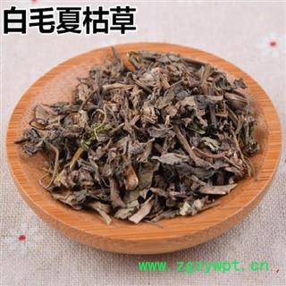 筋骨草 白毛夏枯草 正品保证质量7天万里退货退款 中药材批发 丽丽药业图2