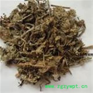 筋骨草 白毛夏枯草 正品保证质量7天万里退货退款 中药材批发 丽丽药业图3