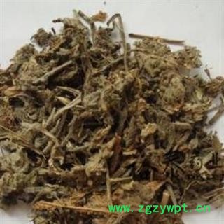 筋骨草 白毛夏枯草 正品保证质量7天万里退货退款 中药材批发 丽丽药业图4