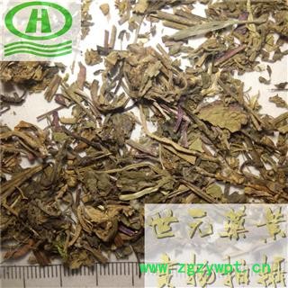 世元药业 筋骨草 正品 别称-白毛夏枯草 白毛过冬青 雪里青 见血青 紫背金盘 破血丹 散血丹 白喉草 青鱼胆草 透骨消 活血草 一盏灯图2