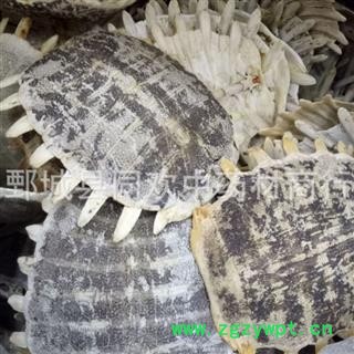 【生鳖甲】@【同欢药材】中药材批发供应  规格齐全 量大从优 产地 山东省图3