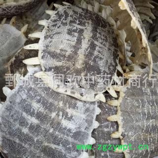 【生鳖甲】@【同欢药材】中药材批发供应  规格齐全 量大从优 产地 山东省图2