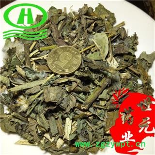 世元药业 败酱草 正品 别称-苏败酱 苦碟子 山苦荬 苦菜 节托莲 苦麻菜 小苦苣 陷血丹 小苦荬 苦丁菜 败将图2