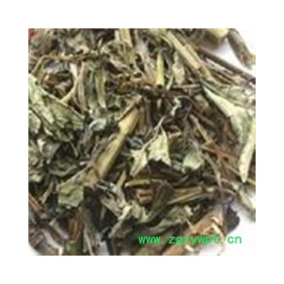 小丽百草行中药材败酱草 臭败酱草  大货 促销