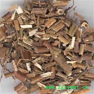 败酱草 黄花败酱、龙芽败酱、黄花龙牙 臭败酱草图2