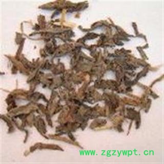 败酱草 黄花败酱、龙芽败酱、黄花龙牙 臭败酱草图4