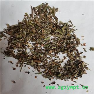 半枝莲 统 产地 河南省鹤壁市浚县图3