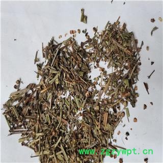 半枝莲 统 产地 河南省鹤壁市浚县图2