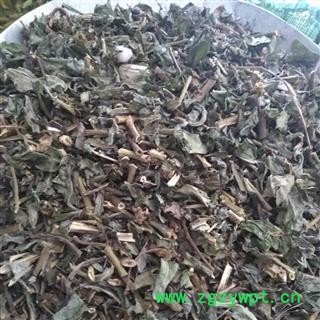 败酱草   败酱草  臭败酱 产地 河南省图2