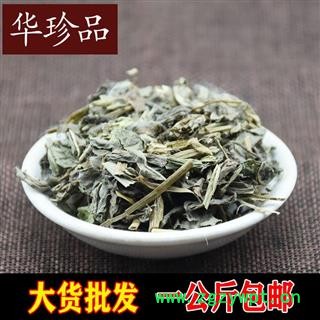 败酱草 01 败酱 统 产地 浙江省金华市磐安县图2